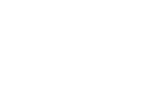 چاوشی